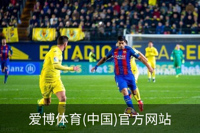 爱博体育(中国)官方网站简介